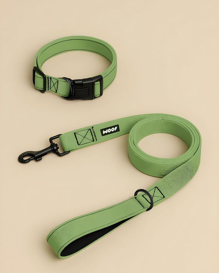 Dog Leash