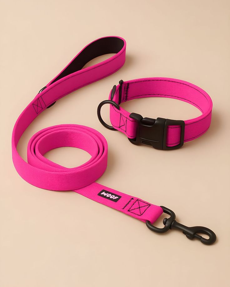Dog Leash