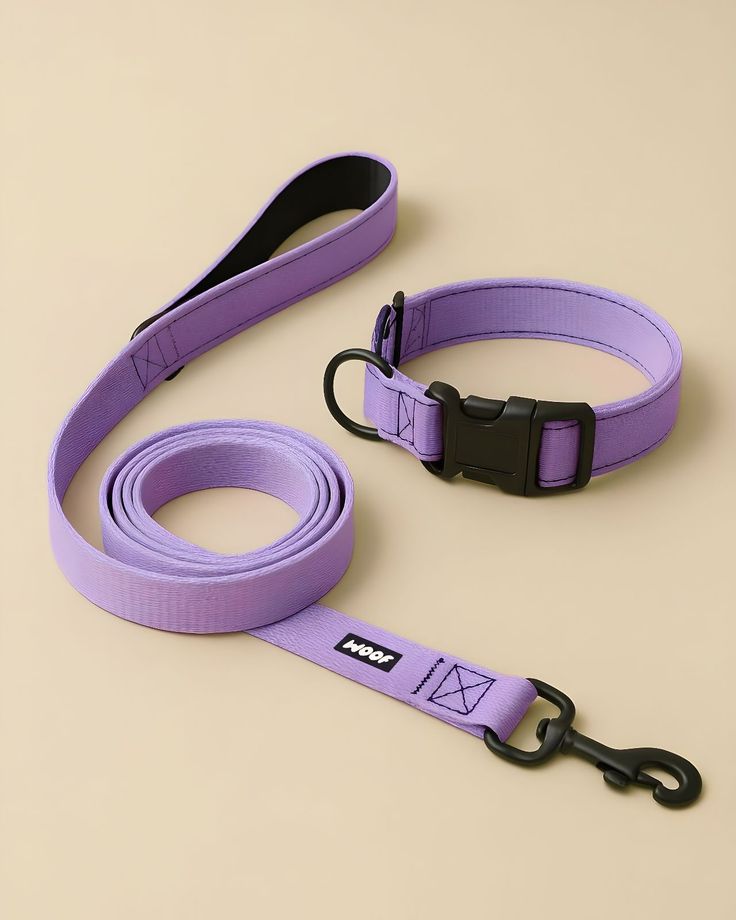 Dog Leash
